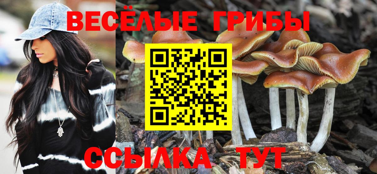 Владикавказ  Псилоцибиновые грибы Psilocybe  Вход с VPN  закладки  Галлюциногенные грибы MAGIC MUSHROOMS 