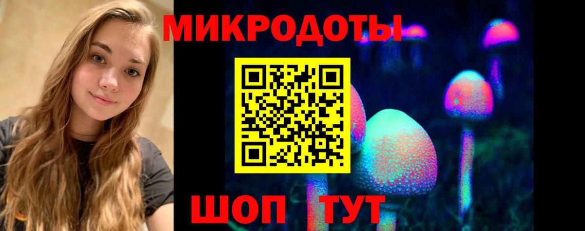 Псилоцибиновые грибы прущие грибы Владикавказ